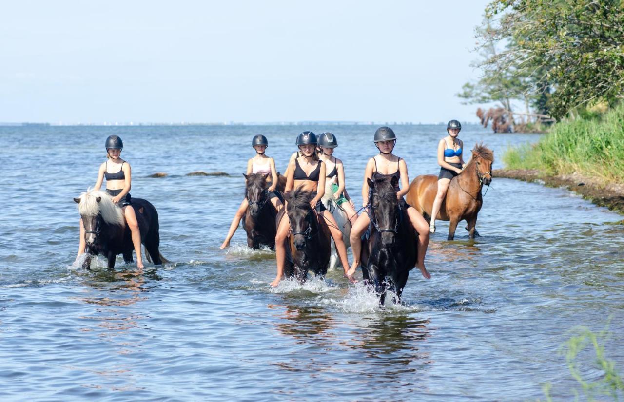 Oelands Yoga Studio & Islandshaestar, Stugor & Rum Mörbylånga Zewnętrze zdjęcie